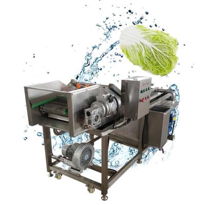 China Adjustable Speed ​​Washing Machine Fruit Washing Machine Vegetable Bubble Washing Machine for sale