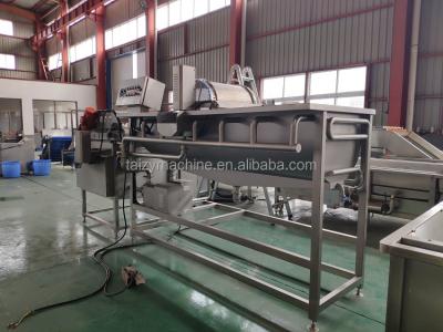 China High Efficiency Easy Operate Automatic Vegetable Cleaning Machine Manufacturers Fruit Washing Machine for sale