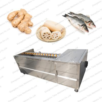 China High Efficiency Easy Operate Potato Peeler And Seal Onion Peeling Machine Vegetable Washing Machine for sale