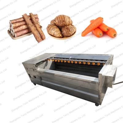 China High Efficiency Easy Operate White Carrot Potato Fruit and Vegetable Cleaning Machine Radish Washing Machine for sale