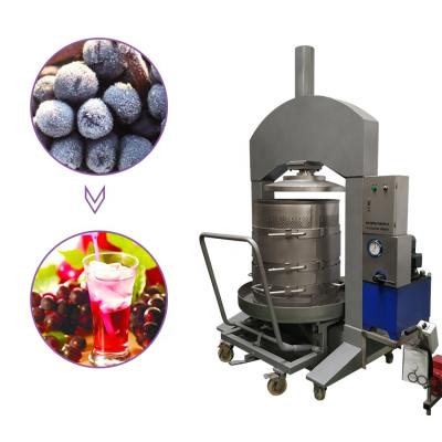 China Snack Plant Grapefruit and Vegetable Persimmon Pulp Press Machine for sale