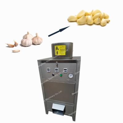 China Commercial garlic peeling machine cashew nut peeling machine dry garlic peeler machine garlic peeling machine for sale