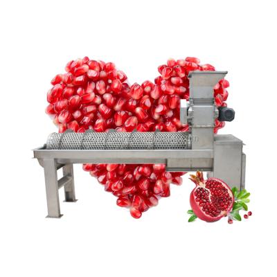 China Fruit Large Output Capacity Pomegranate Seed Removing Separator Pomegranate Seed Removing Machine for sale