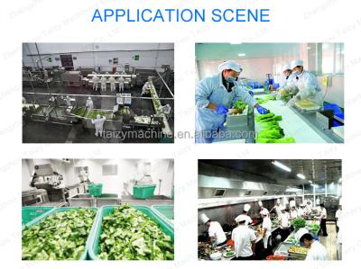 China vegetable dicing machine vegetable dicing machine snack machine vegetable fruit dicing machine for sale