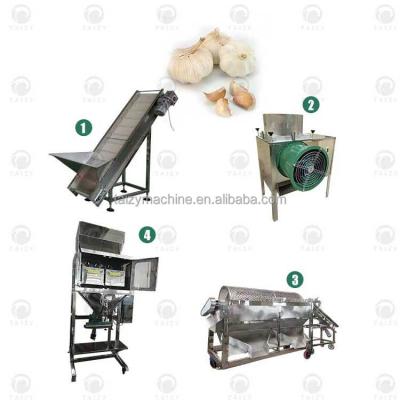 China Garlic Seeds Garlic Cleaner Sifting Washing Machine Processing Line for sale