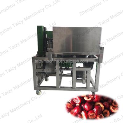 China High Efficiency Easy Operate Fruit Plum Seed Remove Peach Pitching Machine Lychee Pitching Machine for sale