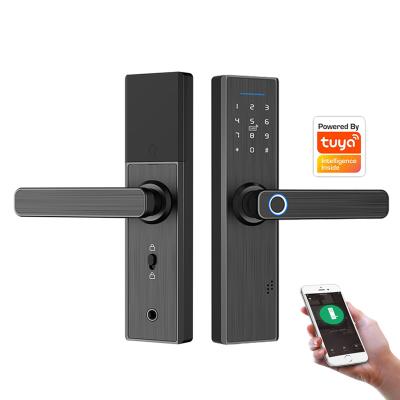 China Fechadura Smart Door Lock Security WiFi Fingerprint Lock Electronic Door Password RFID Unlock, Smart Home Lock IF-D1S for sale