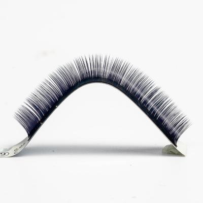 China Natural Hot Selling Long Eyelash Extension Fan Easy Black Premade Volume Russian Fans for sale