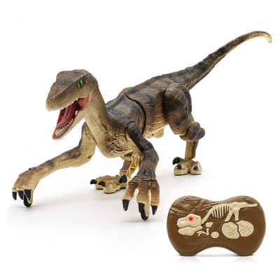 China Simulation Walking NGO Remote Control Factory QX36 Zig Dinozor Dinosaur Smart Dinosaur Toys (Smart Velocir) With Sound for sale