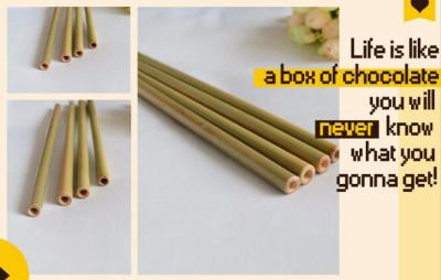 China Eco Friendly Factory Directly Sales Customized Logo Bamboo Straw With Brush 100 % Natural Bamboo Straw bagease bagpac for sale