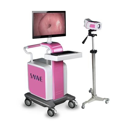 China SW-3304 Pink Vaginal Colposcope, Visual Colposcope, Pink SW-3304 for sale