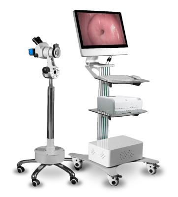 China hospital & SW-3306 Clinic Digital Optical Colposcope / Optical And Electronic Videos Colposcope / Vaginal Colposcope With Software for sale