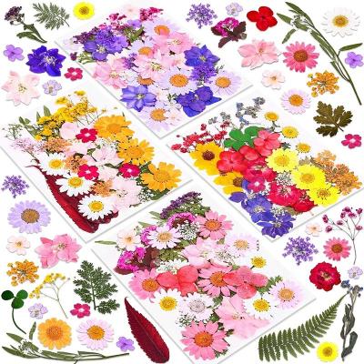 China Real Small Rose Wholesale Romantic Pressed Craft Factory DIY Embossed Frame Natural Real Dry Foliage Combination Pressed Flower For Resin Nails Phone for sale