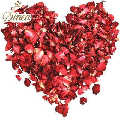 China Wedding Celebration Wholesale Price Freeze Dried 100% Natural Rose Petals From China for sale