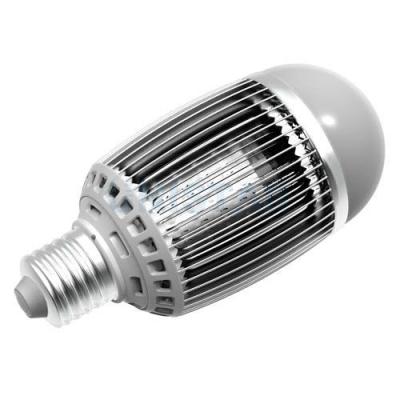 China 7W Cree Household Indoor Globe LED Light Bulbs 100lm/W 50000 Hours Life Time for sale