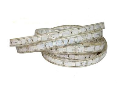 China High Lumen LED Strip Lighting, 5050 SMD LED Flexible Strip Light 600leds/roll All Color Available for sale