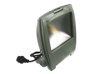 China 30W Outdoor LED Flood Light Energy Saving with Die-casting Aluminum Housing for sale