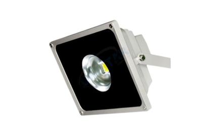 China Remote Control 30W LED Floodlighting, Meanwell Transformer Waterproof Floodlight 120º / 50° Beam Angle for sale