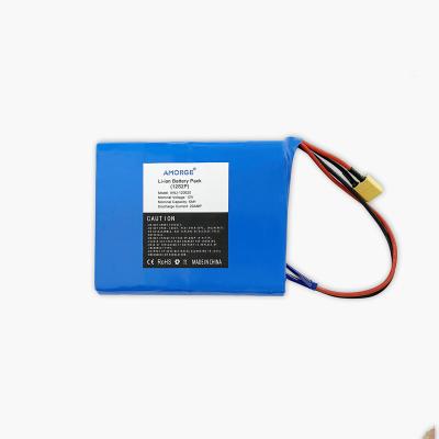 China Electric Bicycles Customized12V 5AH Lithium Ion Battery Pack for sale