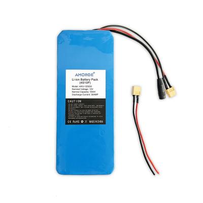 China Custom rechargeable home appliances/electric bicycles/scooters/toys factory supply lithium battery pack 12v 50ah for ebike scooter for sale