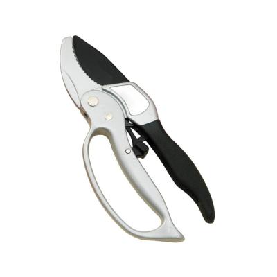 China Pruning Plants Or Shaping Trees Professional Metal Gardening Cutting Shears Trimmers Pruners / Fruit Tree for sale