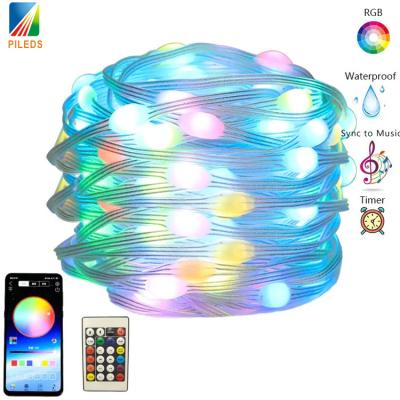 China Control de la aplicación inteligente LED de la luz de la cuerda de Navidad RGB Bluetooth USB para la fiesta de la boda en venta