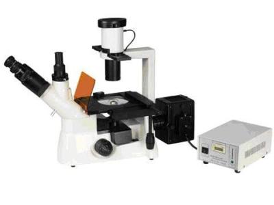 China 7403Y Fluorescence microscope China Manufacturer for sale