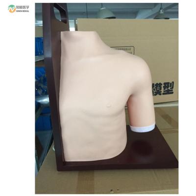 China Medical university/nursing school/hospital PVC material injection shoulder clinical medical intracavitary manikin for sale