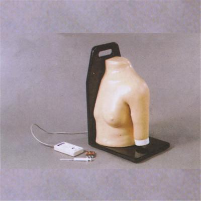 China Factory Outlet Vivid Medical Training Intraosseous Shoulder Injection Model for sale