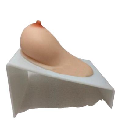 China Maternal Lactation Period Simulation RF-3 Realistic Human Medical Nursing Female Breast Training Model for sale