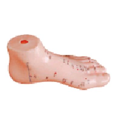 China PVC Acupuncture Foot Model Maquetas De Esqueletos Humanos for sale