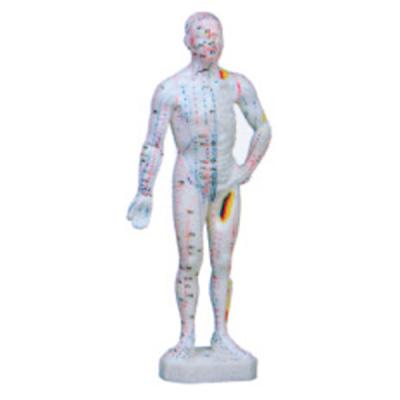 China High Quality Small Size Human Chinese Model 26cm Vivid Anatomy Acupuncture Model for sale