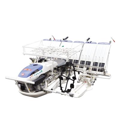 China High Quality Handheld Rice Transplanter 4 Row 6 Row Farm Seedling Tray Manual-planter-planter seedlings for sale