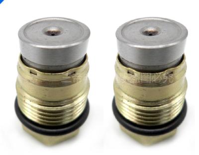 China Metal Rail Fuel Pump Pressure Relief Valve 1110010015 for sale