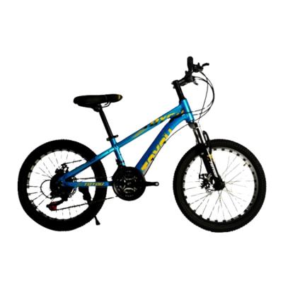 China Latest Technology Alloy Competitive Price Small Training Mountain Bike With 2 Wheels for sale