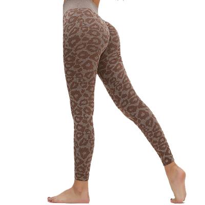 China New Summer Women's Yoga Pants Leopard-copy Fitness Suit Tracksuit Tight-fitting High-waisted Worked for sale