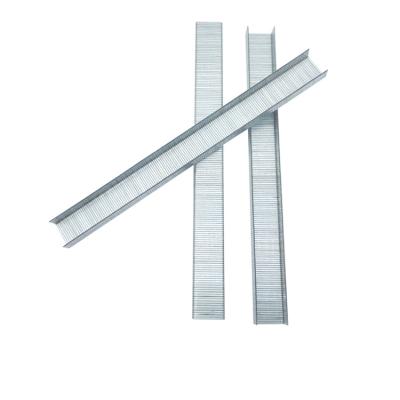 China Flat Sc Hot Selling Galvanized Wire Sofa Fasteners 10F Series Staples 22GA Furniture Staple U Type Nail for sale