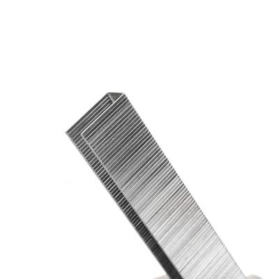 China Sc Factory 20 Flat Gauge Galvanized Steel U Type Nail 10j 53series 4-22mm Staples For Staple Gun for sale