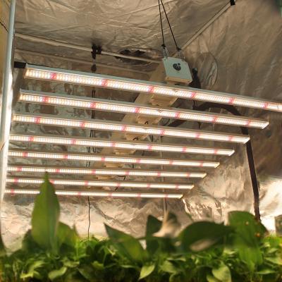 China Seed Starting High Quality Full Spectum Lm301B Lm301H 301H 10 Indoor Plant Growth Lamp 10 12 Bar 1000W 1200W Octopus Led Grow Lights for sale