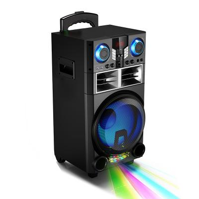 China 10 Inch Rechargeable Trolley Home Theater And Player Party Speaker Audio Box With Disco Light for sale