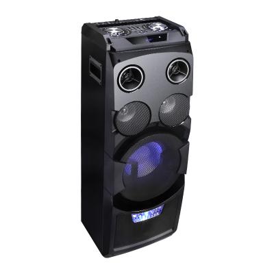 China New Private Hot Selling Professional Home Theater DJ Speaker Box With Karaoke Flashing Light for sale