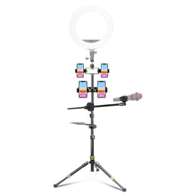 China A Kit for Live Broadcast with Phone Dimmable LED Live Broadcast Support Ring Light Desktop with Tripod Stand Cell Phone Holder for sale