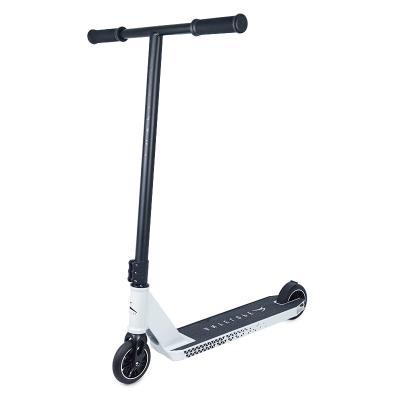 China Youth Alloy Core Two Wheels Pro Custom Stunt City Kick Scooter For Adult for sale