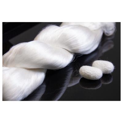 China Mulberry Silk Yarn Cheap Price Of Raw Fabric Silk Suitable For Weaving Or Knitting for sale