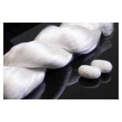 China Custom 6a silk cocoon 6a china silk male pure white fabric spring logo 20-22d raw silk for sale