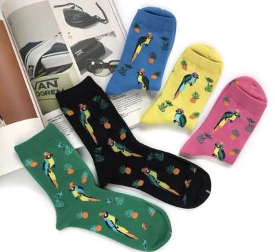 China Wholesale Free Sample QUICK DRY Colorful Women Socks Cotton Ribbed Summer Socks For Women for sale