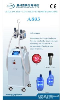 China Salon Ultrasonic Slimming Beauty Equipment , Weight Loss Beauty Cryolipolysis Machine for sale