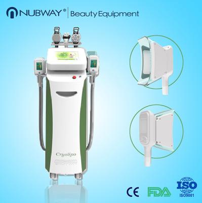 China Cryolipo Slimming Beauty Equipment cryolipolysis cool shaping machine for sale