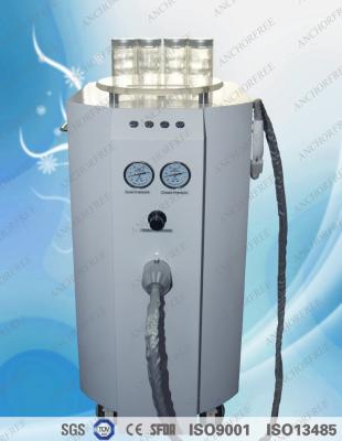 China Acne removal Skin Rejuvenation Machine , Oxygen Beauty Machine for sale