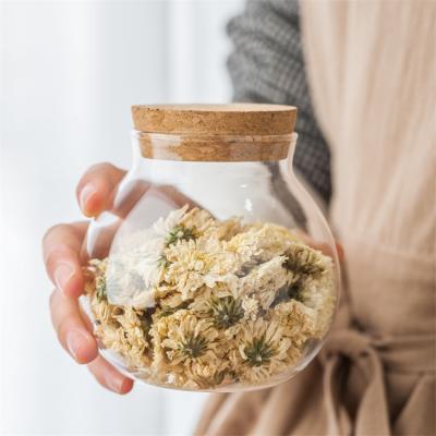 China Kitchen Wholesale Borosilicate Storage Folding Spherical Glass Jar With Cork Lid for sale